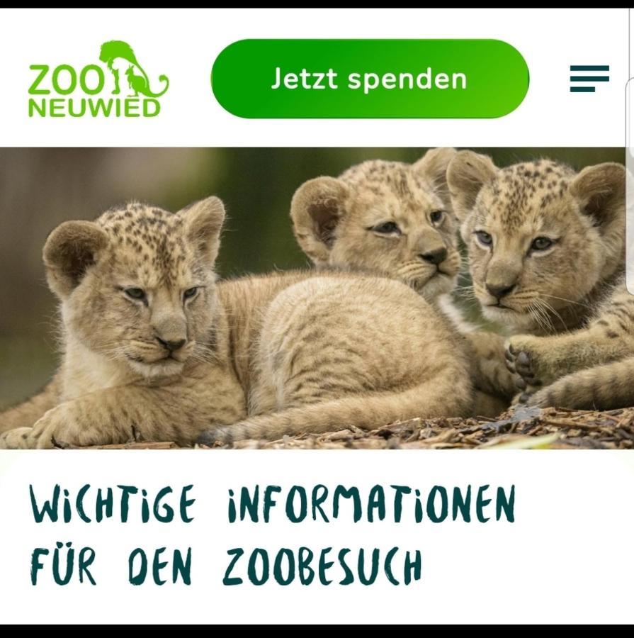 Fewo Mit Terasse Neuwied & Koblenz Экстерьер фото